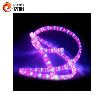 PVC Christmas Wedding Party Decoration Outdoor 240V Flat Flexible Strip Light rgb led rope light